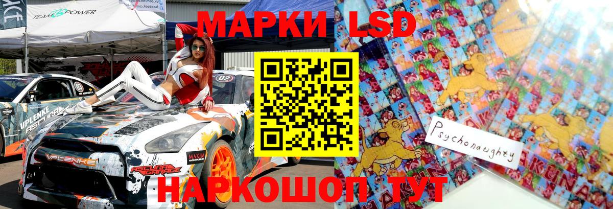 где купить   Марки NBOMe 1,8мг  Вход с VPN  Качканар  Марки NBOMe 1,8мг  Марки NBOMe 